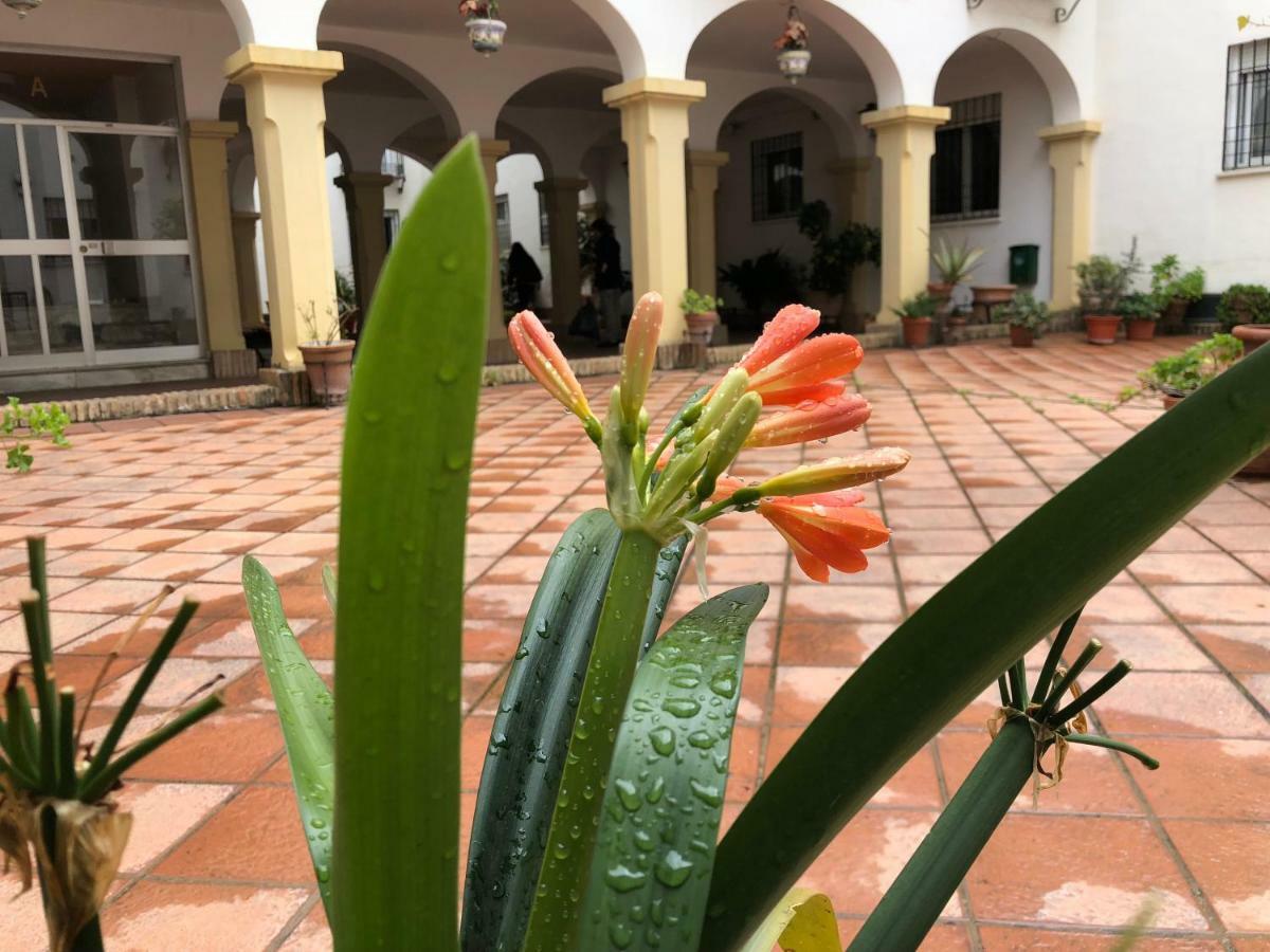 Casa De Espejos Appartamento